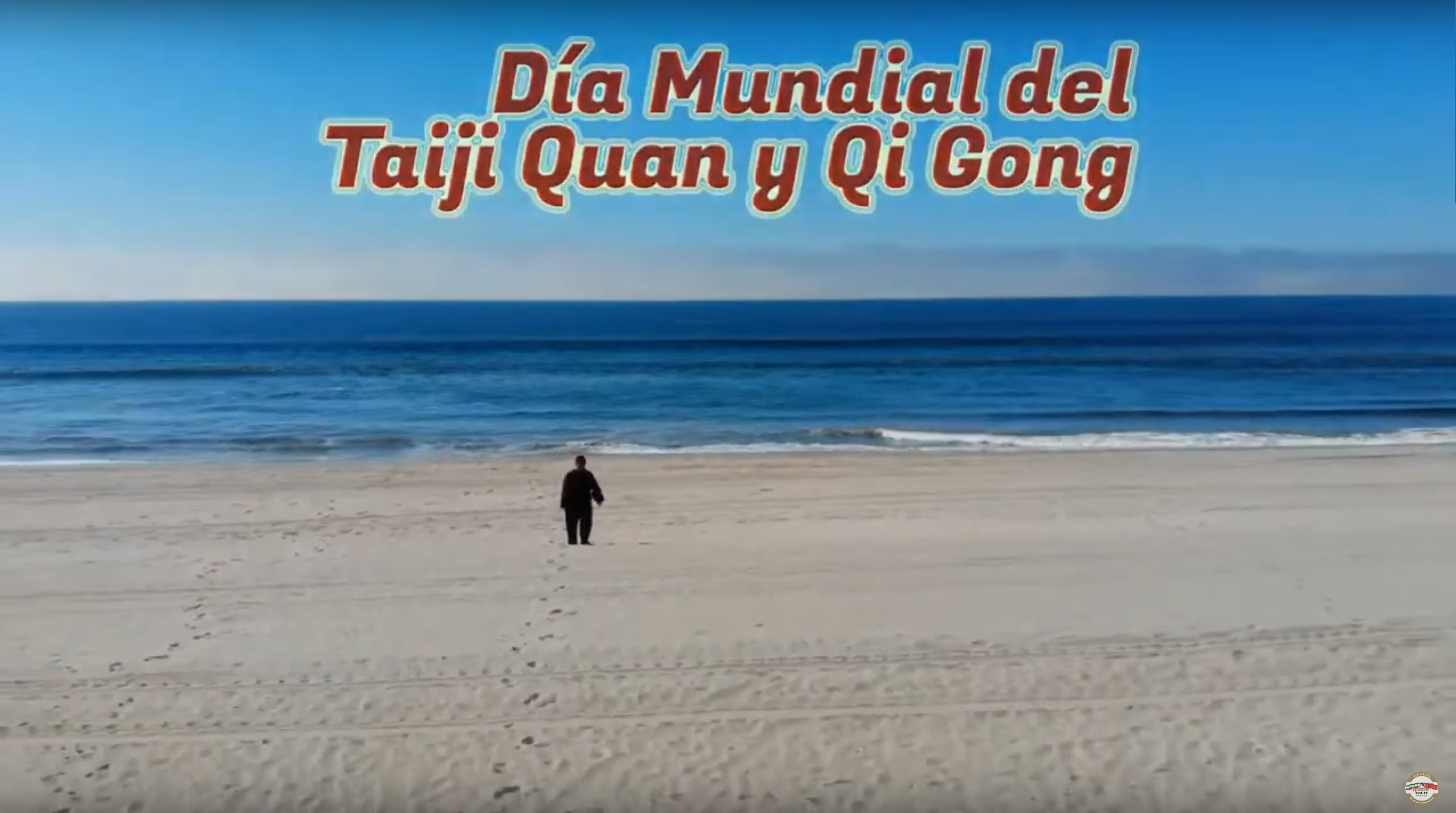 Día Mundial del Taiji Quan y Qigong - Wushu Xiaohu